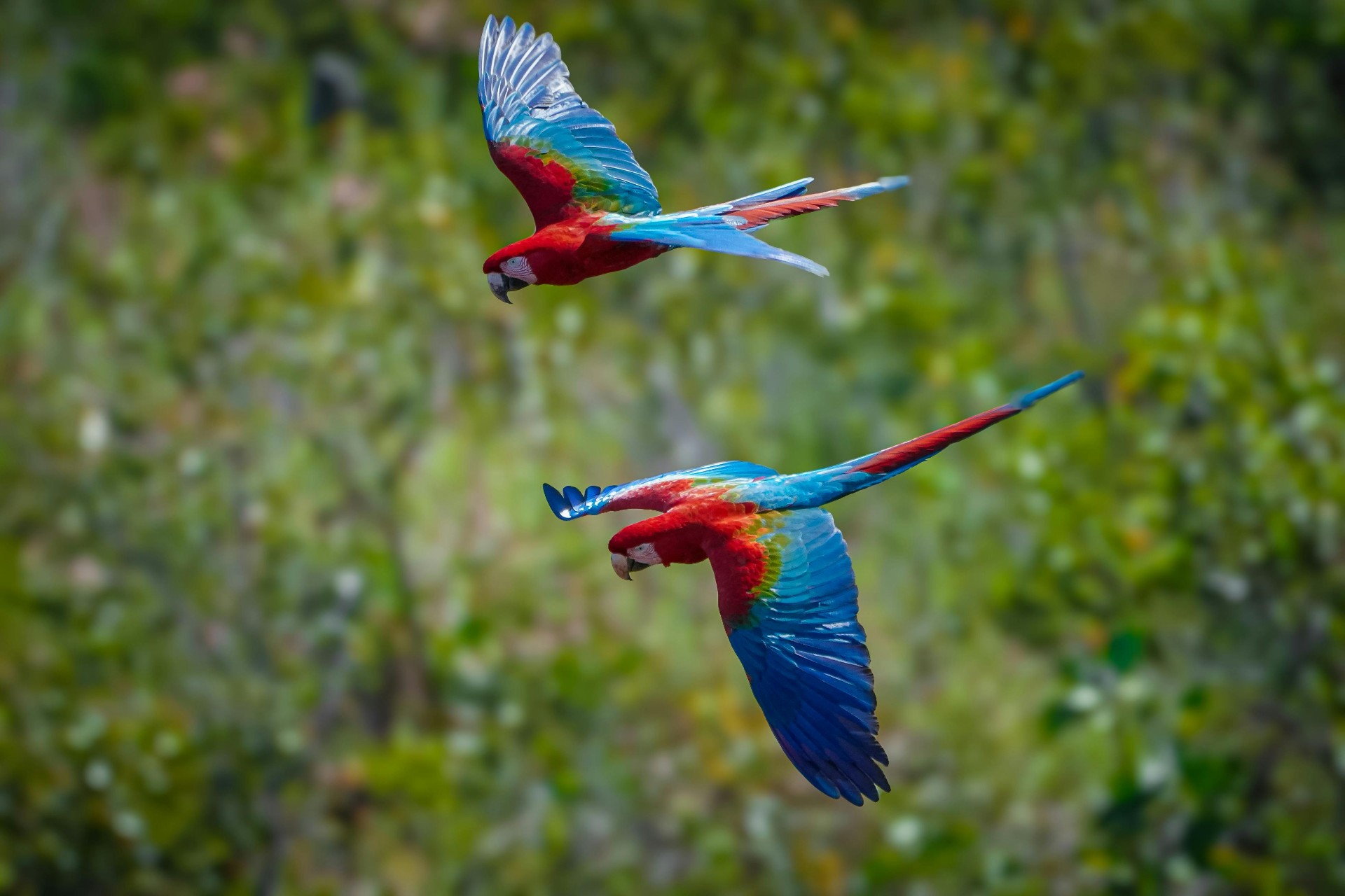 Yasuni, Ecuador