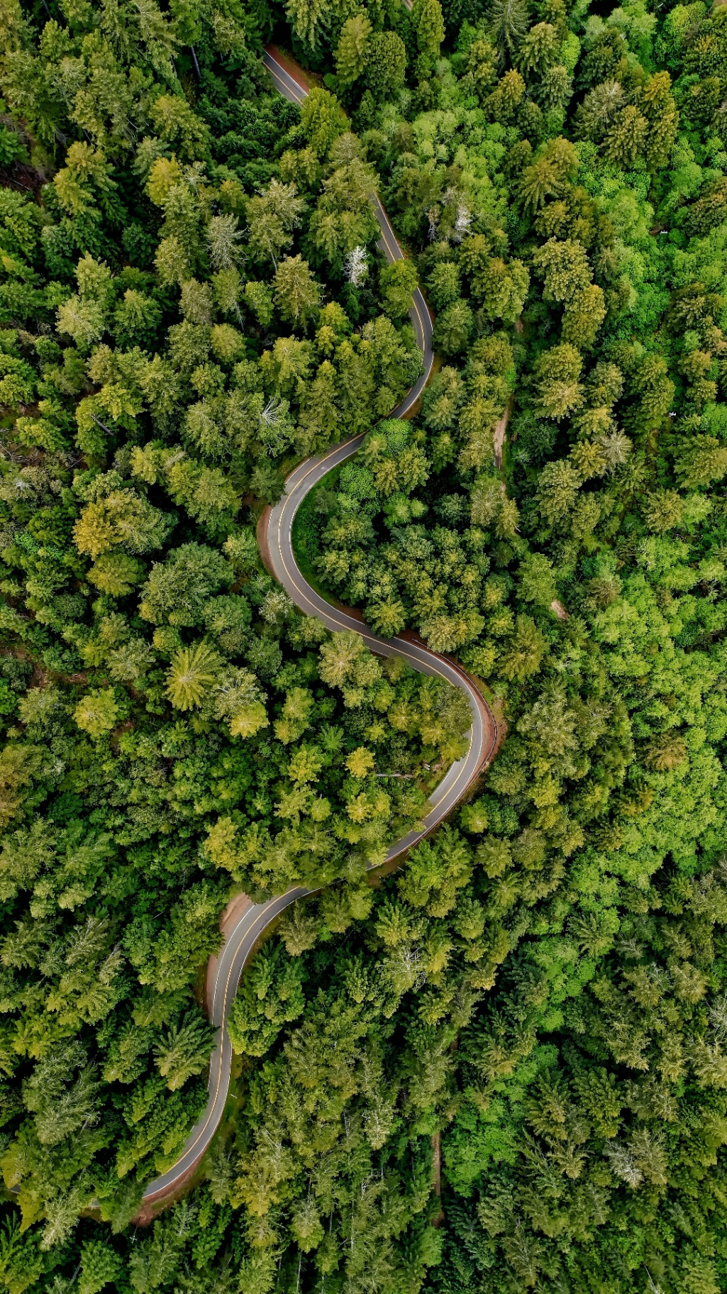 Amazon river winding through rainforest